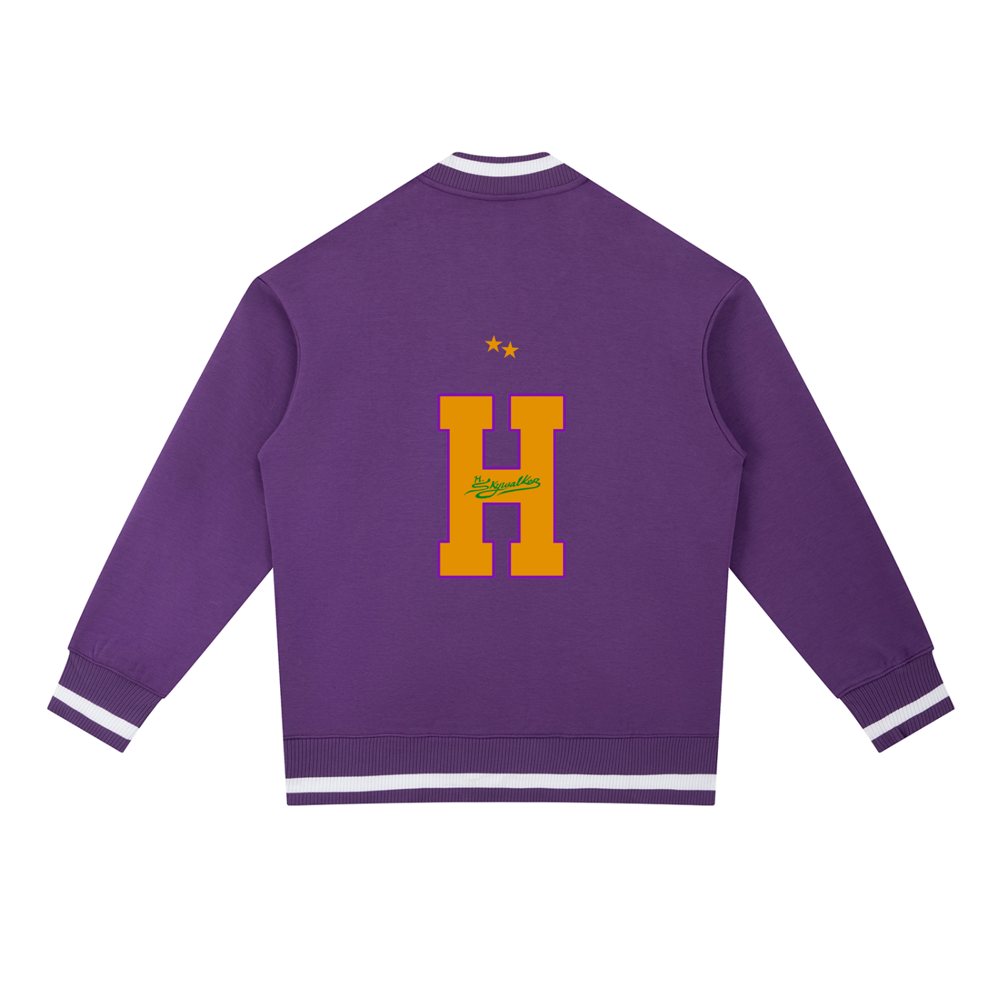 H. Skywalker Bomber Jacket